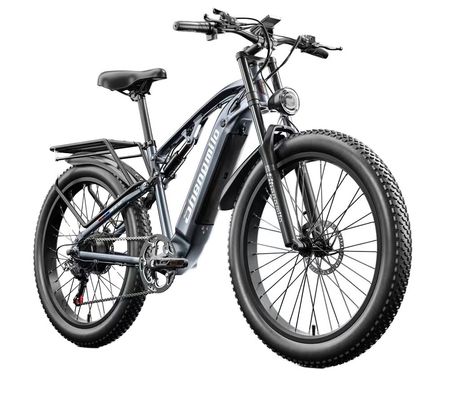 الولايات المتحدة الأمريكية الاتحاد الأوروبي المستودع F2 الكبار الكهربائية الدراجة الكهربائية مع الفرامل القرص و 36v 250w طاقة المحرك