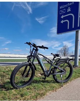 الولايات المتحدة الأمريكية الاتحاد الأوروبي المستودع F2 الكبار الكهربائية الدراجة الكهربائية مع الفرامل القرص و 36v 250w طاقة المحرك