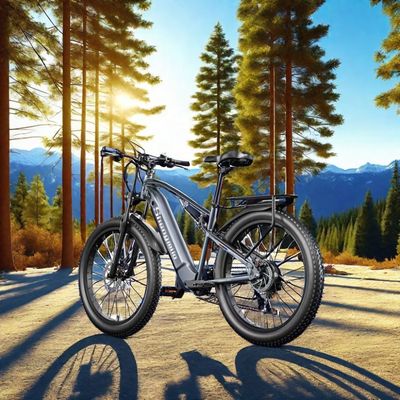 الولايات المتحدة الأمريكية الاتحاد الأوروبي المستودع F2 الكبار الكهربائية الدراجة الكهربائية مع الفرامل القرص و 36v 250w طاقة المحرك